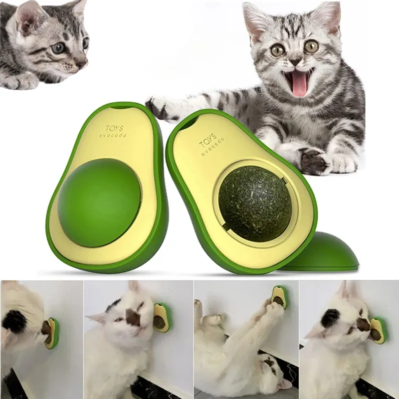 Boule murale en forme d'avocat et d'herbe à chat, jouets à lécher comestibles, friandises rotatives pour chaton, 360