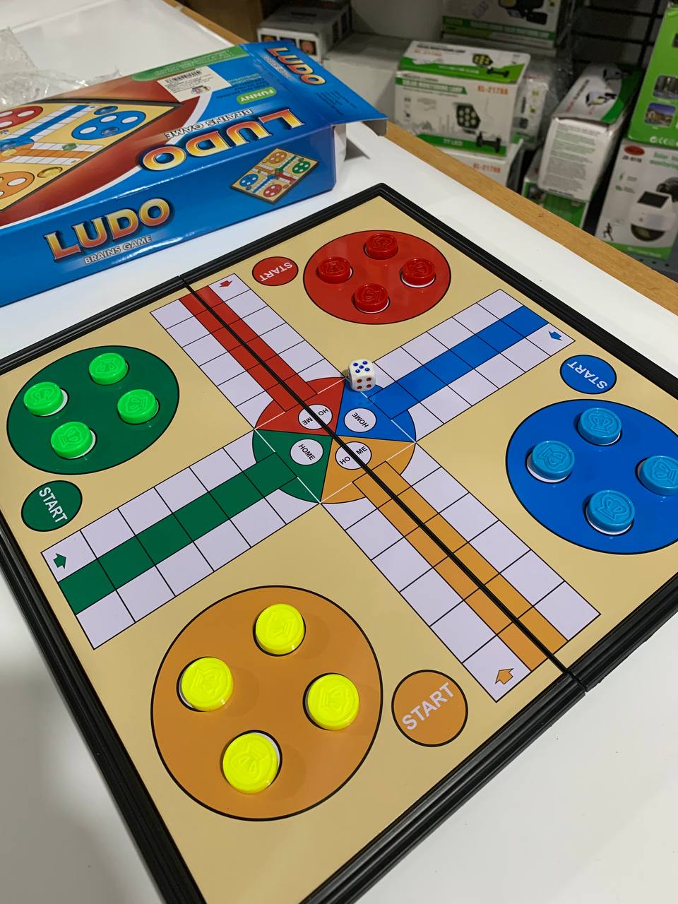 Ludo Brain Game Magnetic